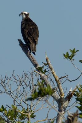 _DSC1986web.jpg