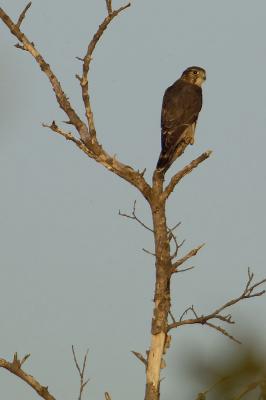 DSC_2722web.jpg