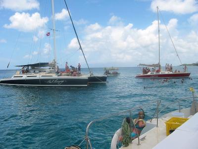 Snorkeling heaven // Barbados