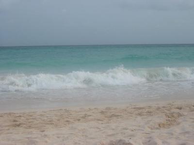 The Beach // Barbados