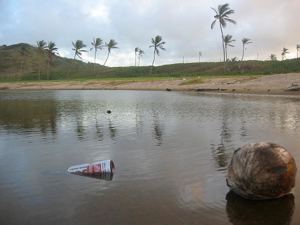 Reflections // Barbados