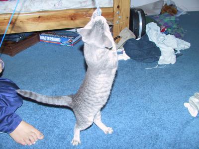 108-0817_IMG.JPG