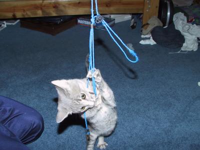 108-0821_IMG.JPG