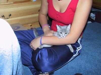 108-0826_IMG.JPG