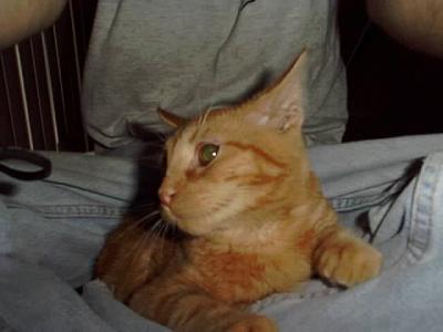 Oliver