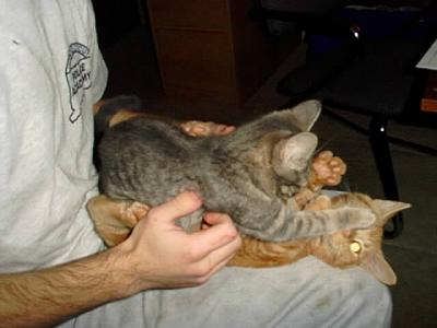 Oliver & Isis