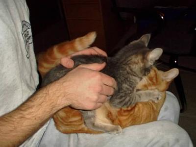 Oliver & Isis