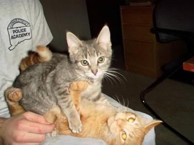 Oliver & Isis