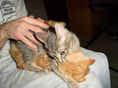 Oliver & Isis