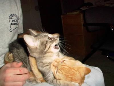 Oliver & Isis