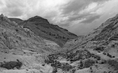 CRW_6529.jpg