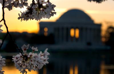 Jefferson Memorial Sunrise
