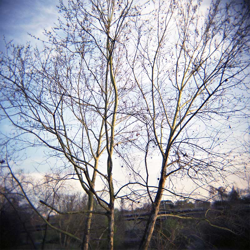Blue sky