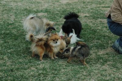 Apr12_05_078.JPG