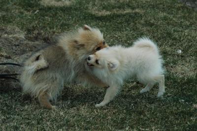Apr12_05_086.JPG