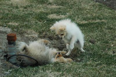 Apr12_05_089.JPG