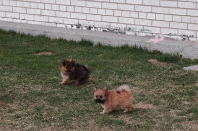 Apr12_05_120.JPG