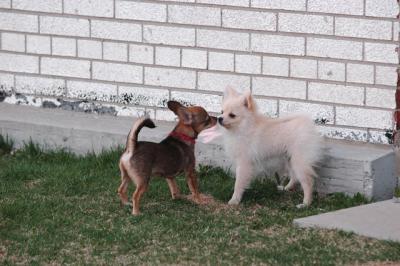 Apr12_05_127.JPG