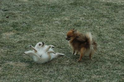 Apr12_05_131.JPG