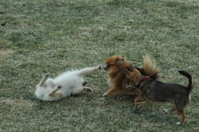 Apr12_05_134.JPG