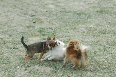Apr12_05_136.JPG