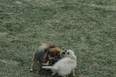 Apr12_05_137.JPG