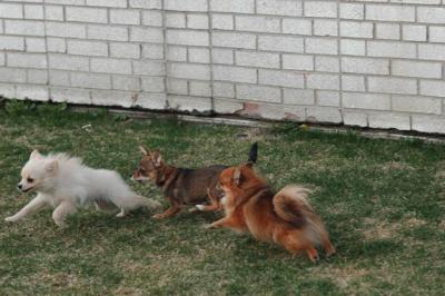 Apr12_05_140.JPG