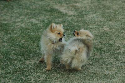 Apr12_05_158.JPG