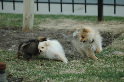 Apr12_05_258.JPG