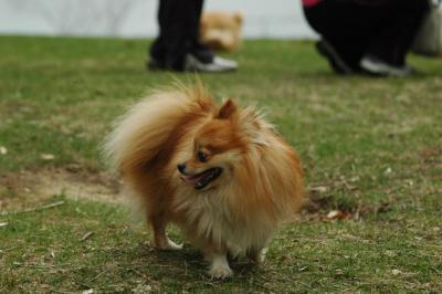 Apr26_05_004.JPG