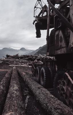 Logs, Squamish B.C.