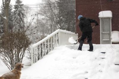 snobomb0