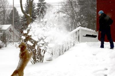 snobomb2
