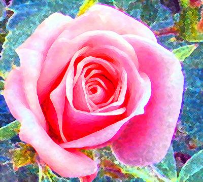 Crop from previous picture and applied painting filter...