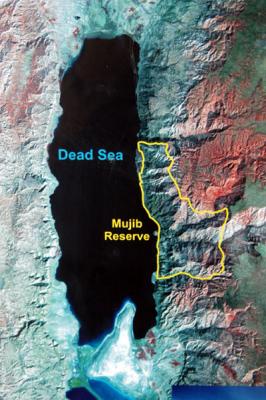 The Wadi Mujib Reserve protects are large wild area along the Dead Sea