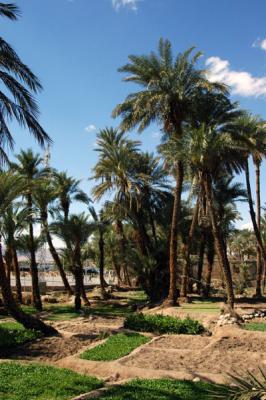 Gardens outside Aqaba Castle