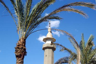 Palm and minaret, Aqaba