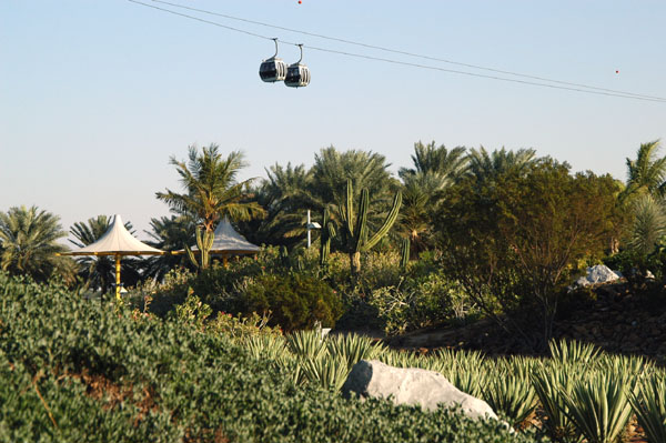 Cactus garden of Dubai Creek Park