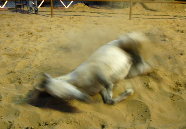 Rolling in the sand