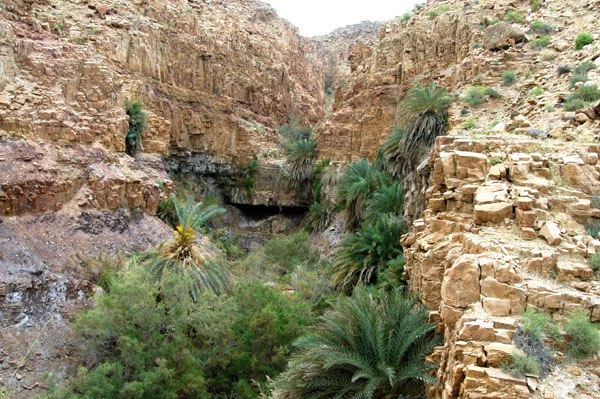 There are numerous wadis with lush vegetation entering into the Dead Sea