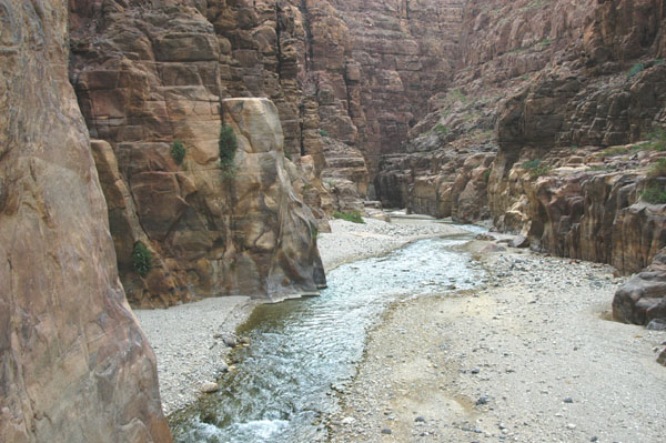 Fresh water from the highlands flows through a narrow canyon at Wadi Mujib