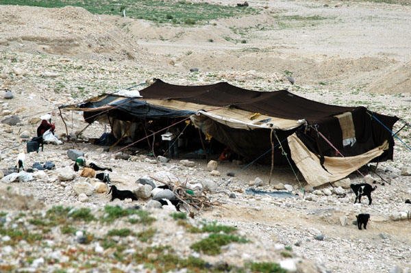 I was surprised to find Bedouin still living in tents in Jordan