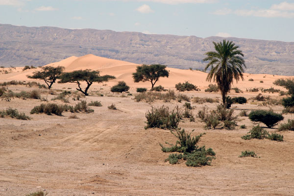 Wadi Araba, Jordan