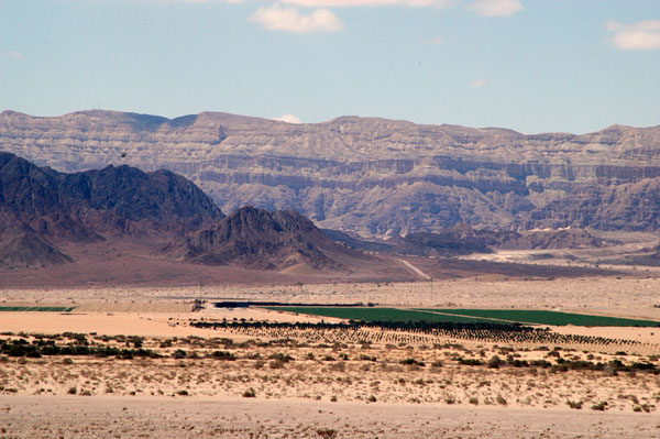 Commerical farming in Israel