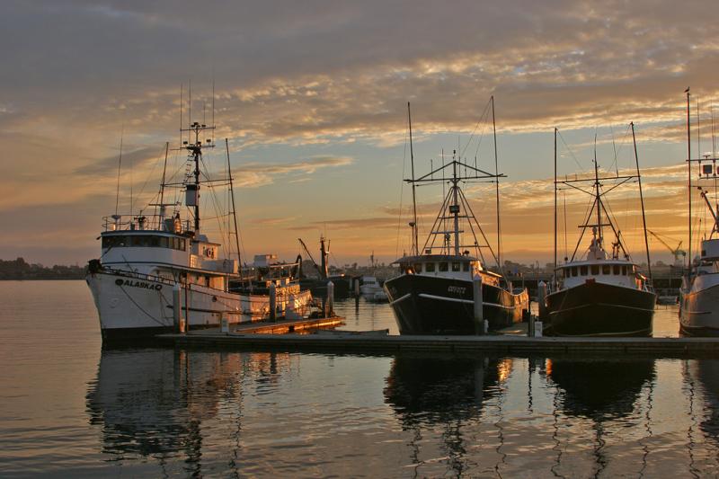 Mole Pier