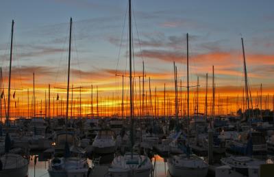 Marina Sunset