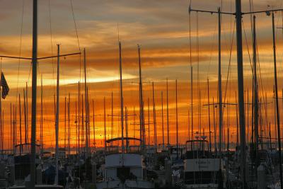 Marina Sunset