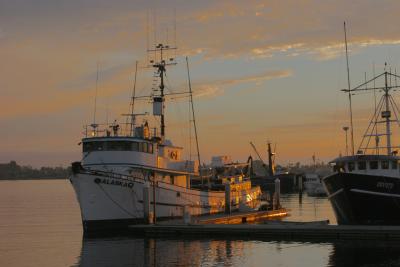 Fishing Boat At The Mole Pier
