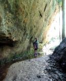 overhang in the coachwood forest