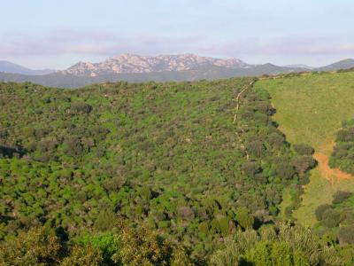 Looking inland from near Porto Piscinni